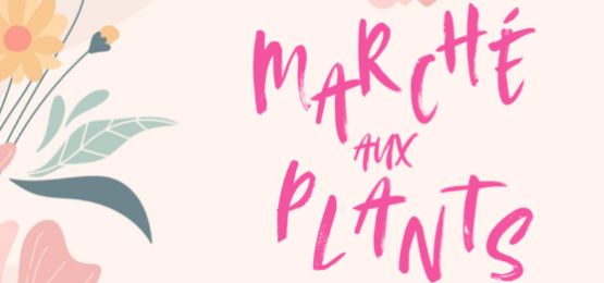Marché aux plants