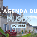 L'agenda du musée - octobre