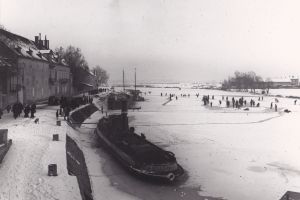 Eugene NOIR - 90x60 6.jpg