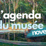 L'agenda du musée - novembre